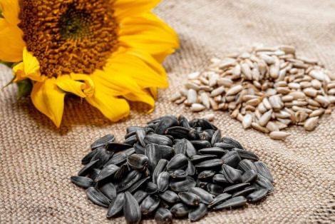 Semillas de girasol: beneficios para el sueño y la salud
